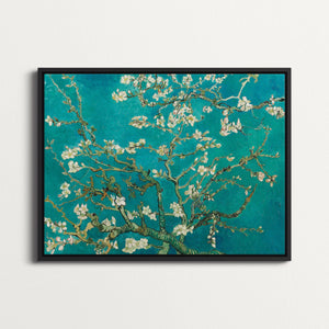 Blossoming Almond Tree